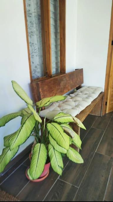 Casa Paraiso Manzanillo  Ngoại thất bức ảnh