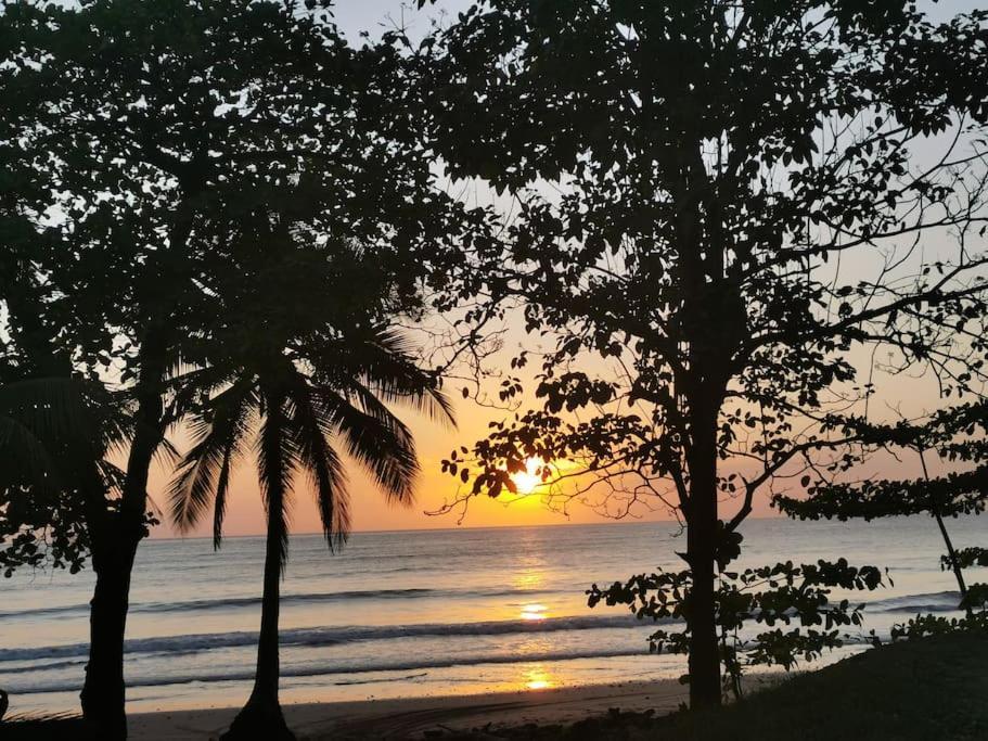 Casa Paraiso Manzanillo  Ngoại thất bức ảnh