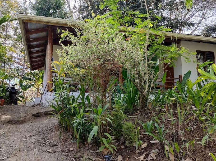 Casa Paraiso Manzanillo  Ngoại thất bức ảnh