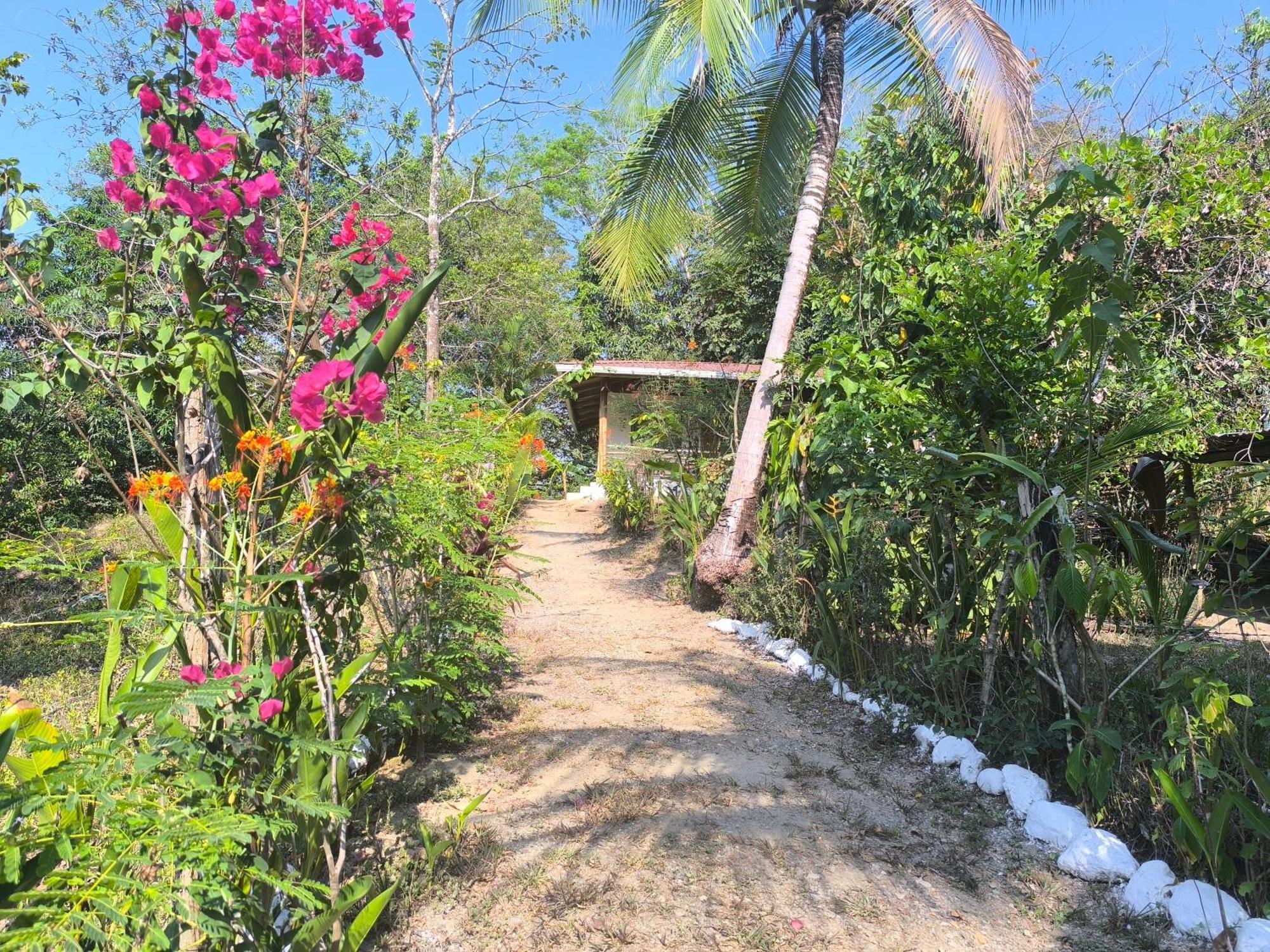 Casa Paraiso Manzanillo  Ngoại thất bức ảnh